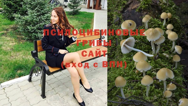 тгк Корсаков
