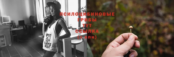 бутират Тында