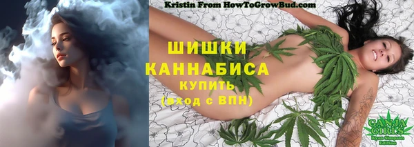 mdma Краснослободск