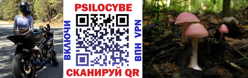 Галлюциногенные грибы Psilocybine cubensis  Купить закладки  Тейково 